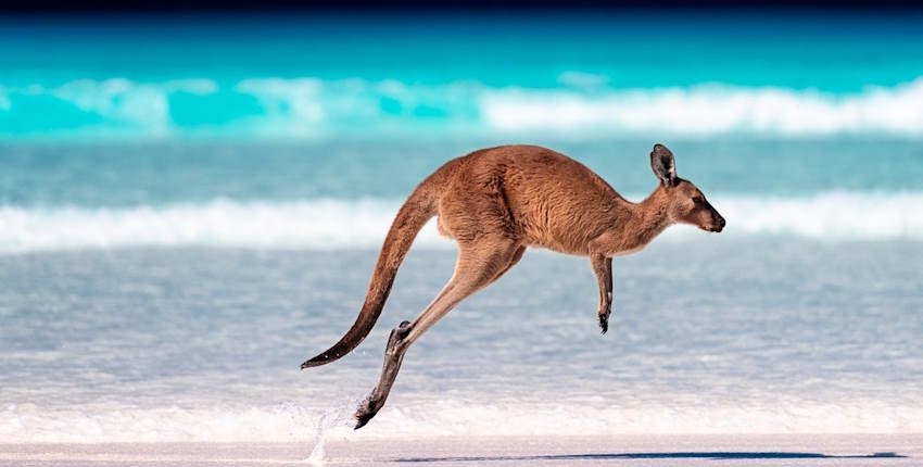 Haziran ayında hangi ülkeye tatile gidilir? - Avustralya