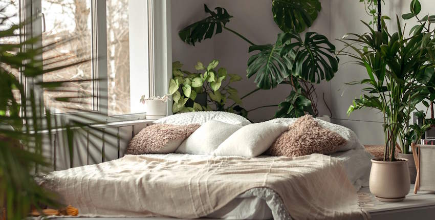 Çiçek Bulunan Odada Yatılır mı? Sağlık ve Konfor Açısından Bilmeniz Gerekenler