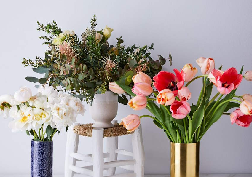 Evinizde Çiçek Açtırmanın Sırları: Sağlıklı ve Canlı Bitkiler İçin İpuçları