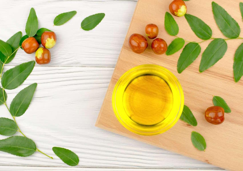 Cilt ve saç bakımı için Jojoba yağı ne işe yarar?
