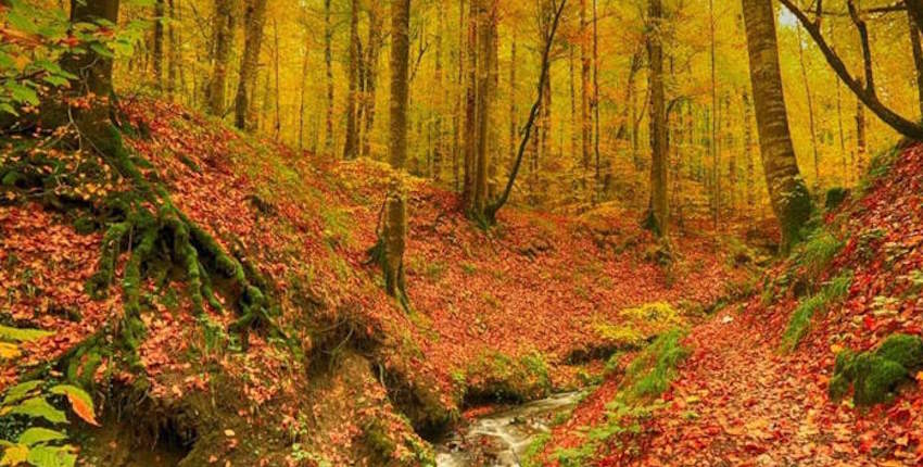 Ekim Ayında Doğa Yürüyüşleri: Renkli Yaprakların Arasında Keşif Rotaları Ekim ayında trekking rotaları
