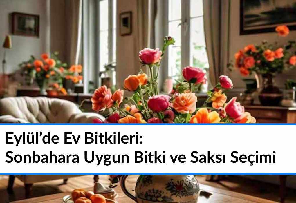 Eylül’de Ev Bitkileri: Sonbahara Uygun Bitki ve Saksı Seçimi